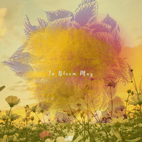 In Bloom May